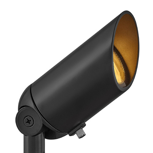 Hinkley Hinkley Hardy Island Brass Satin Black LED Flood - Spot Light 1536BSK-LL