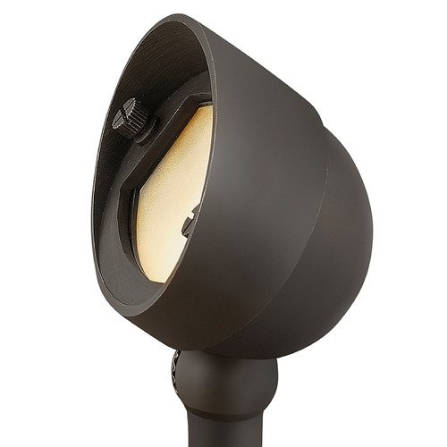 Hinkley Hinkley Hardy Island Brass Satin Black LED Flood - Spot Light 16571BSK-LL