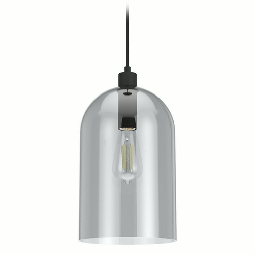 Hunter Fan Company Hunter Fan Company Lochemeade Natural Black Iron Mini-Pendant Light with Bowl / Dome Shade 19204