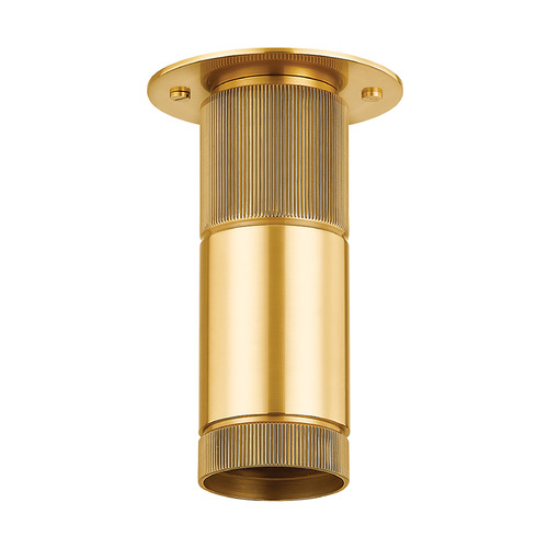 Hudson Valley Lighting Hudson Valley Lighting Dighton Aged Brass LED Flushmount Light 2205-AGB