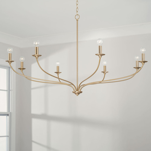 Capital Lighting Dolan Chandelier in Matte Brass by HomePlace by Capital Lighting 449981MA