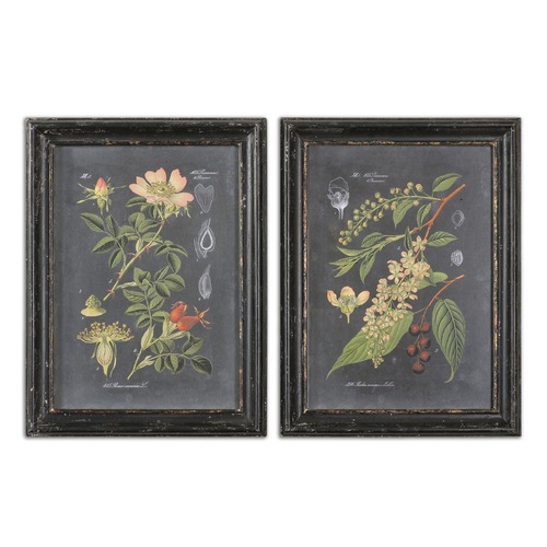 Uttermost Lighting Midnight Botanicals Wall Art Set of 2 by Uttermost Lighting 56053