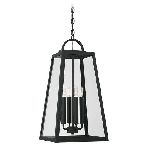 Capital Lighting Leighton 23-Inch High Black Outdoor Hanging Light by HomePlace by Capital Lighting 943744BK