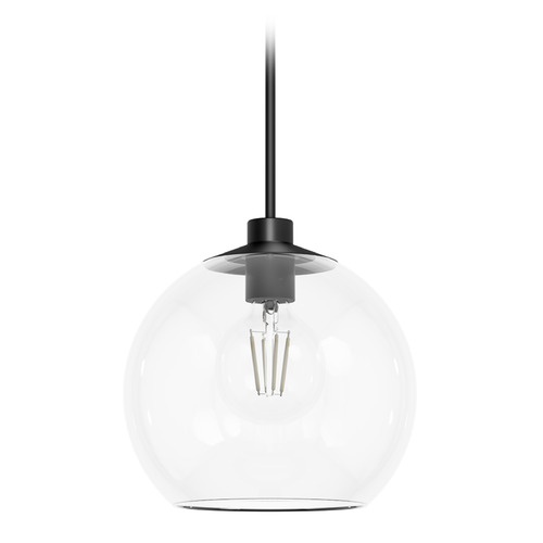 Hunter Fan Company Hunter Fan Company Xidane Matte Black Pendant Light with Globe Shade 19512