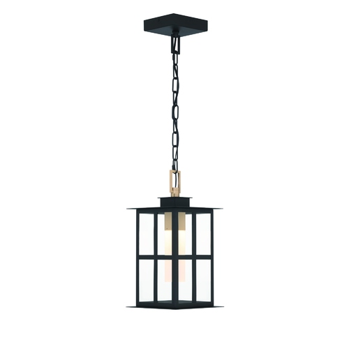 Eurofase Lighting Greyson 16-Inch LED Outdoor Pendant in Black & Brass by Eurofase 47388-017