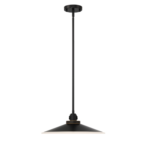 Eurofase Lighting Deckard 16-Inch LED Outdoor Pendant in Black & Gold by Eurofase 47405-011