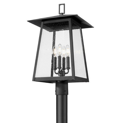 Z-Lite Z-Lite Rainer Black Post Light 5015PHBR-5012P-BK