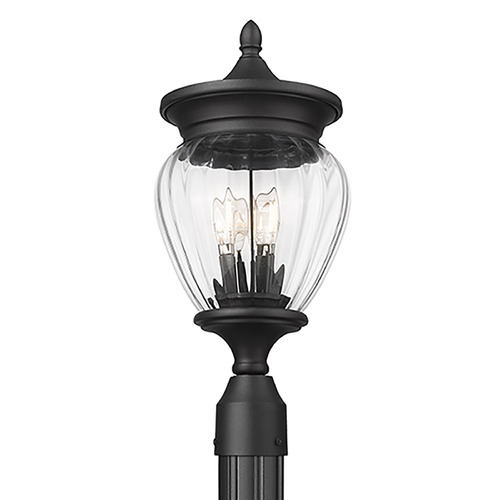 Z-Lite Z-Lite Davina Black Post Light 5016PHMR-5011P-BK
