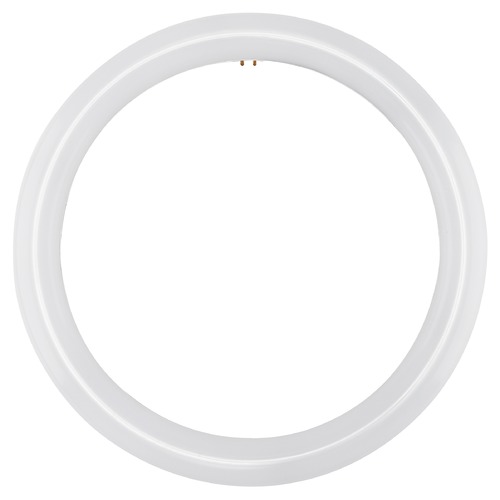Satco Lighting LED Circline 16W T9 6500K G10Q Base 120-277V Type B Ballast Bypass by Satco Lighting S16505