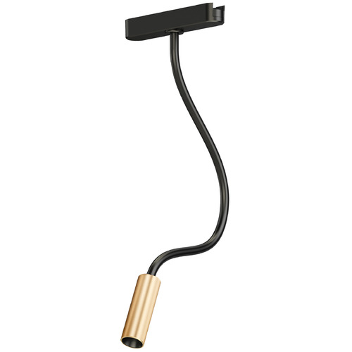 ET2 Lighting Continuum LED Reading Light Track Head in Black & Gold by ET2 Lighting ETL21216-BKGLD