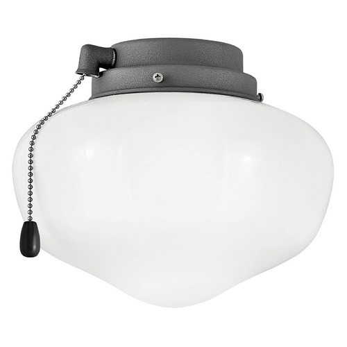 Hinkley Graphite LED Fan Light Kit by Hinkley Lighting 930008FGT