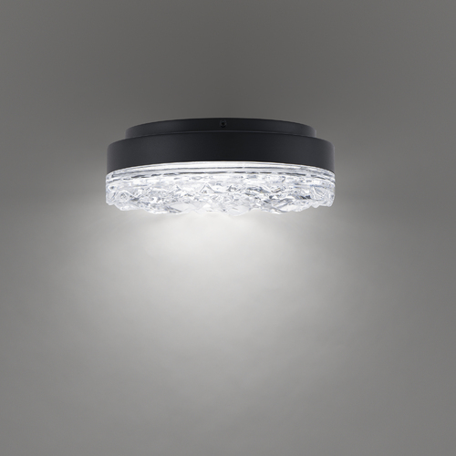 Schonbek Beyond Bramble 12-Inch LED Crystal Flush Mount in Black by Schonbek Beyond BFM96412-BK