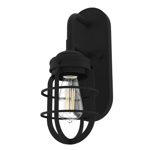 Hunter Fan Company Hunter Fan Company Starklake Natural Black Iron Sconce 19668