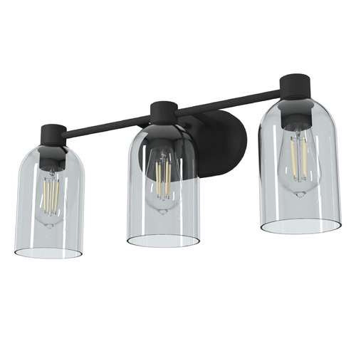Hunter Fan Company Hunter Fan Company Lochemeade Natural Black Iron Bathroom Light 19709