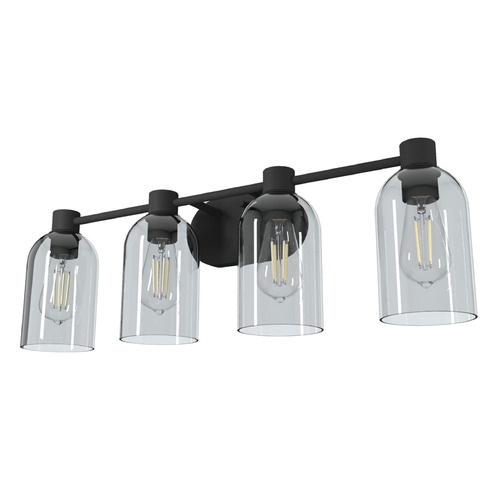 Hunter Fan Company Hunter Fan Company Lochemeade Natural Black Iron Bathroom Light 19711