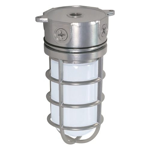Nuvo Lighting Metallic Silver Flush Mount by Nuvo Lighting SF76/624