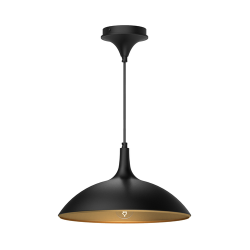 Alora Lighting Alora Lighting Abel Matte Black Pendant Light with Bowl / Dome Shade PD627914MB