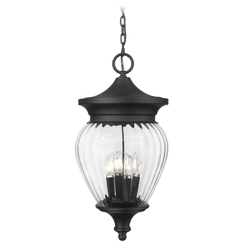 Z-Lite Z-Lite Davina Black Outdoor Hanging Light 5016CHB-BK