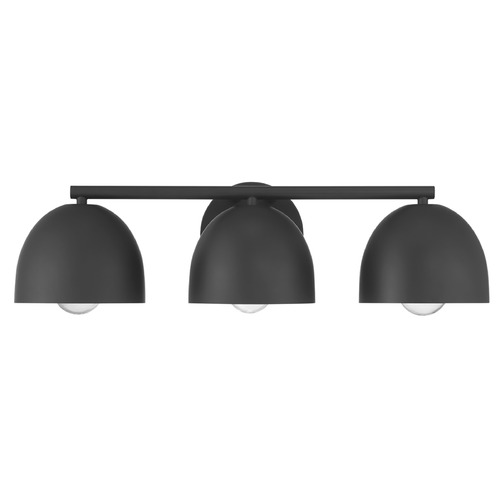 Hunter Fan Company Hunter Fan Company Erling Matte Black Bathroom Light 48136