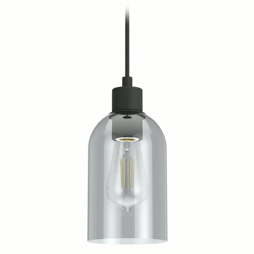 Hunter Fan Company Hunter Fan Company Lochemeade Natural Black Iron Mini-Pendant Light with Bowl / Dome Shade 19201