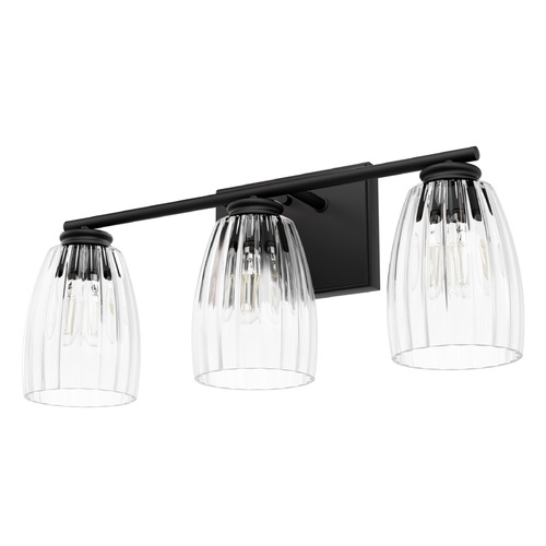 Hunter Fan Company Hunter Fan Company Rossmoor Matte Black Bathroom Light 13103