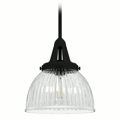 Hunter Fan Company Hunter Fan Company Cypress Grove Natural Black Iron Mini-Pendant Light with Bowl / Dome Shade 19247