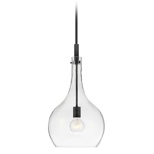 Hinkley Ziggy 12-Inch Pendant in Black with Clear Glass by Hinkley Lighting 4457BK-CL
