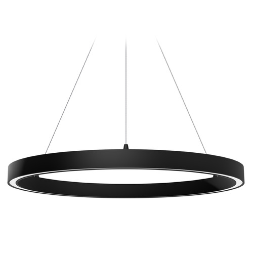 Hunter Fan Company Hunter Fan Company Canoga Matte Black LED Pendant Light 13120