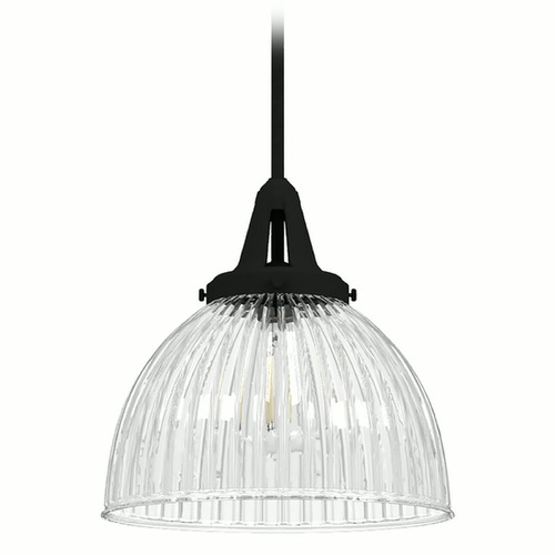 Hunter Fan Company Hunter Fan Company Cypress Grove Natural Black Iron Pendant Light with Bowl / Dome Shade 19249