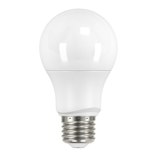 Builders Lighting