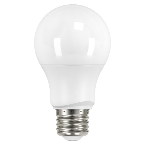 Satco Lighting 6W A19 LED Frosted 3000K 480 Lumens Medium Base 120V Non-Dimmable by Satco Lighting S9591