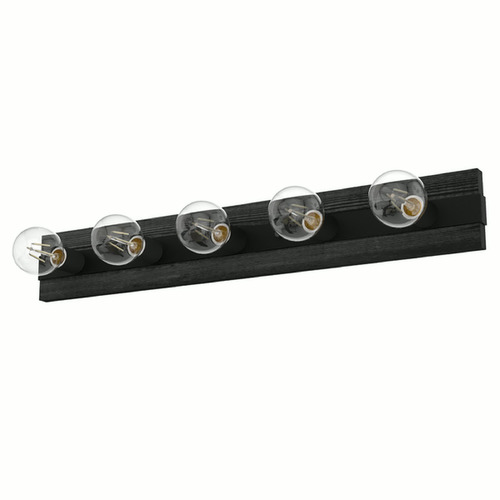 Hunter Fan Company Hunter Fan Company Donelson Natural Black Iron & Dark Ash Vertical Bathroom Light 19063