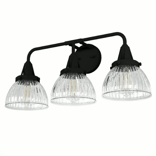 Hunter Fan Company Hunter Fan Company Cypress Grove Natural Black Iron Bathroom Light 19257