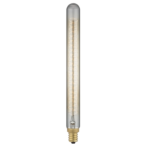 Design Classics Lighting Early Electric T30 Carbon Filament Light Bulb - 40-Watt 2400K 40T30  FILAMENT