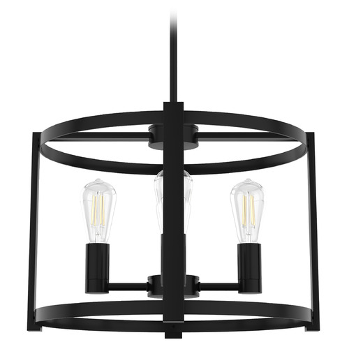 Hunter Fan Company Hunter Fan Company Astwood Matte Black Pendant Light 19133