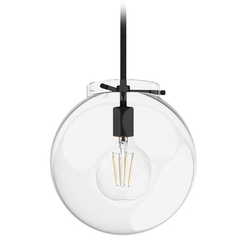Hunter Fan Company Hunter Fan Company Sacha Natural Black Iron Pendant Light with Globe Shade 19660