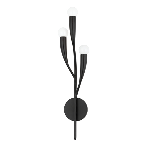 Hudson Valley Lighting Labra 24.50-Inch Wall Sconce in Aged Iron by Hudson Valley Lighting 9603-AI