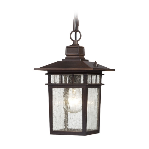 Nuvo Lighting Seeded Glass Outdoor Hanging Light Bronze by Nuvo Lighting 60/4955