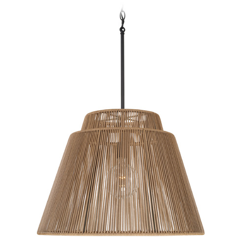 Capital Lighting Jasper Indoor/Outdoor Hanging Light in Black by Capital Lighting 956311SK