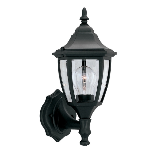 Designers Fountain Lighting Outdoor Wall Light with Clear Glass in Black Finish 2462-BK