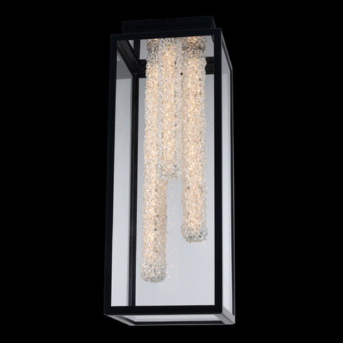 Allegri Lighting Allegri Crystal Esterno Cristallo Matte Black LED Flush Mount 095545-052-FR001