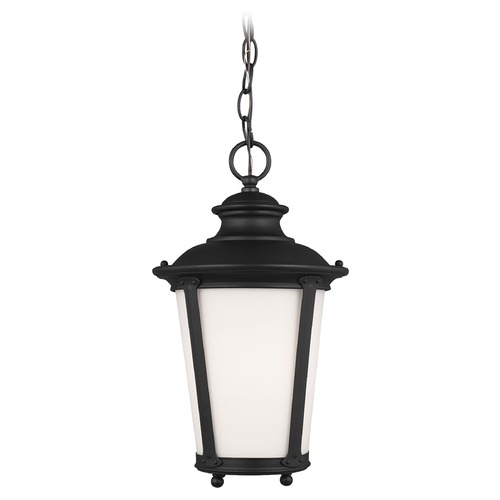 Generation Lighting Cape May Black Outdoor Hanging Light by Generation Lighting 62240-12