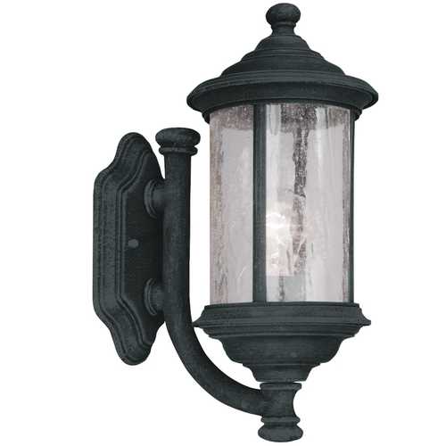 Dolan Designs Lighting Seeded Glass Outdoor Wall Light Black 15-Inch Dolan Designs 915-50