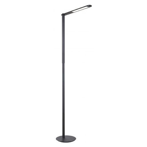 George Kovacs Lighting George Kovacs Brushed Coal Black LED Floor Lamp P1931-896-L