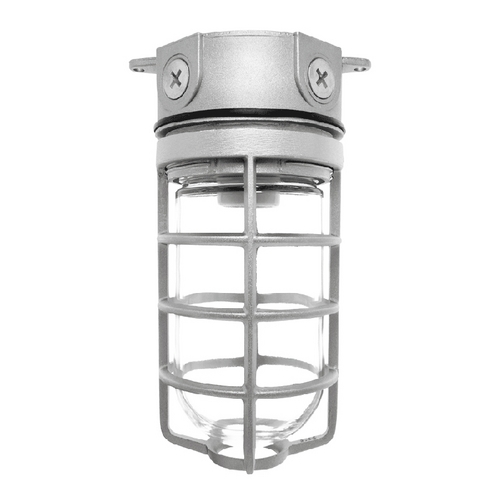 RAB Electric Lighting Vaporproof Flush Mount- 150W by RAB Electric Lighting VX100DG