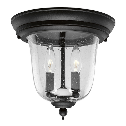 Progress Lighting Ashmore Outdoor Flush Mount in Black by Progress Lighting P5562-31