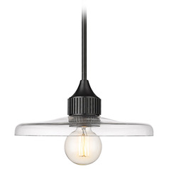 Paloma Matte Black Pendant by Z-Lite