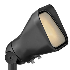Hinkley Hardy Island Brass Satin Black LED Flood - Spot Light