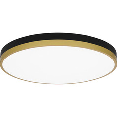 Weldin 20-Inch LED Flush Mount in Black & Gold by Quoizel Lighting