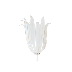 Eden Wall Sconce in Textured White by Capital Lighting